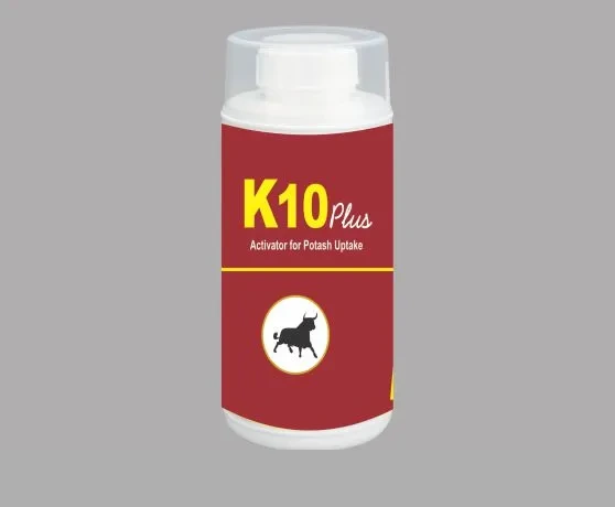 K10 Plus