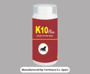 K-10