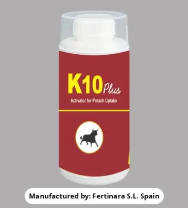 K-10