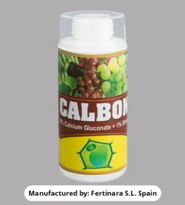 Calbon